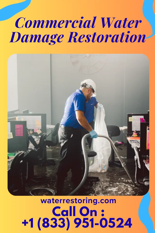 Commercial Water Damage Restoration in Taft, TX