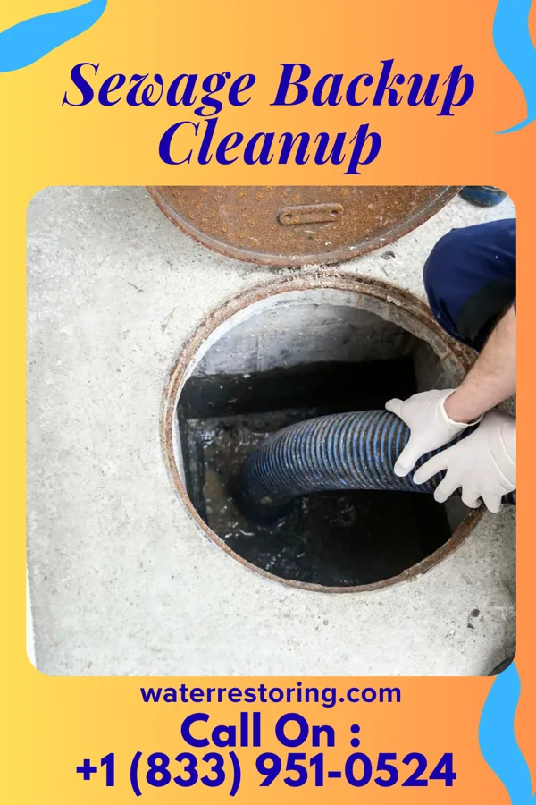 Sewage Backup Cleanup in Taft, TX